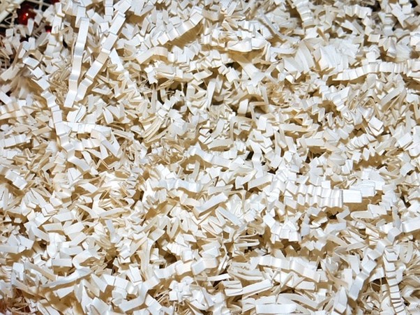 How to Hire a Document Destruction Company